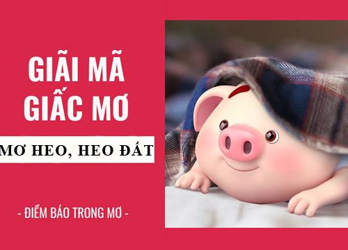giải mã giấc mơ: nằm mơ thấy heo, heo đất điềm báo gì, lành hay dữ? con số liên quan